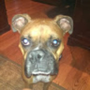 Meet your Posher, Tamara